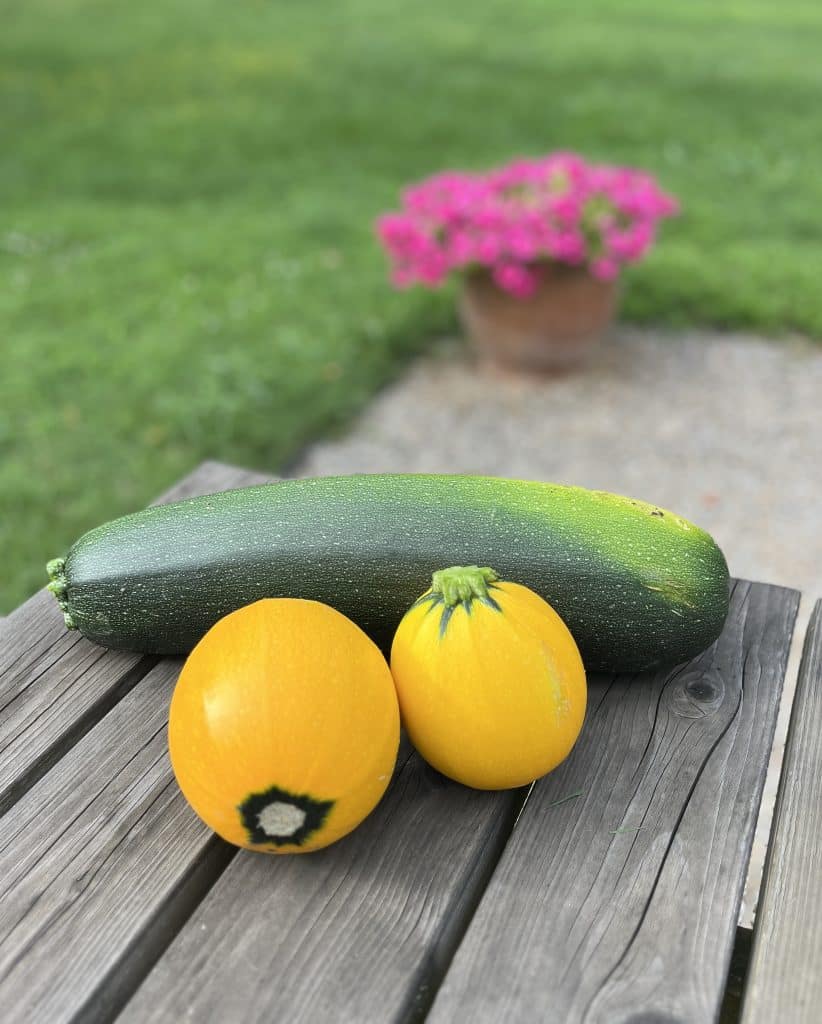 Légumes du jardin