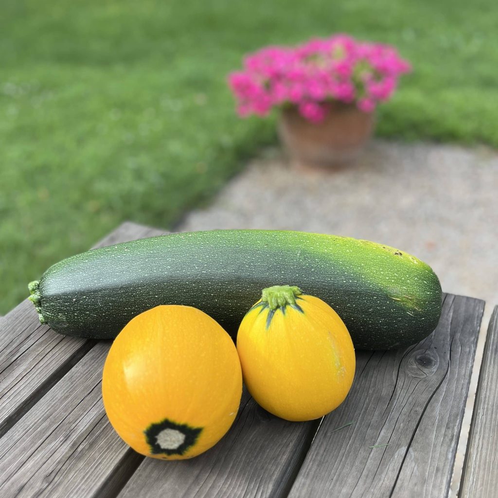 Légumes du jardin