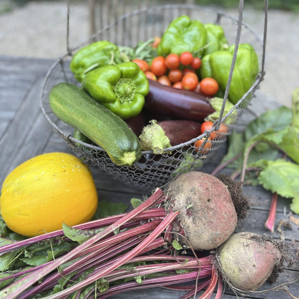 Légumes potager Equilibre et vitalité